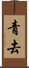 青去 Scroll