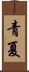 青夏 Scroll