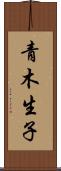 青木生子 Scroll