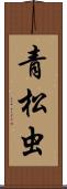 青松虫 Scroll