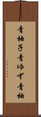 青柚子 Scroll