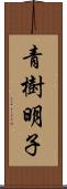 青樹明子 Scroll