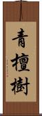 青檀樹 Scroll