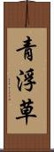 青浮草 Scroll