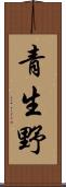 青生野 Scroll