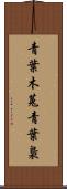 青葉木菟 Scroll