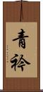 青衿 Scroll