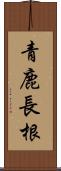 青鹿長根 Scroll