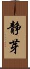 静芽 Scroll
