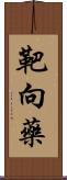 靶向藥 Scroll