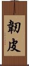 韌皮 Scroll
