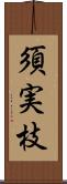 須実枝 Scroll