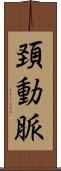 頚動脈 Scroll