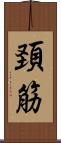 頚筋 Scroll