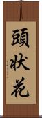 頭状花 Scroll