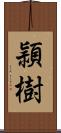 頴樹 Scroll