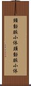 頸動脈小体 Scroll