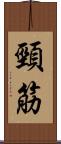 頸筋 Scroll