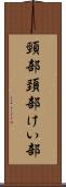 頸部 Scroll