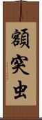 額突虫 Scroll