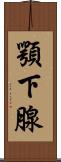 顎下腺 Scroll
