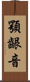 顎齦音 Scroll