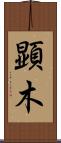 顕木 Scroll