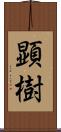 顕樹 Scroll