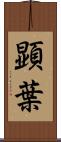 顕葉 Scroll