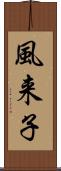 風来子 Scroll