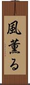 風薫る Scroll