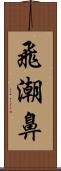 飛潮鼻 Scroll