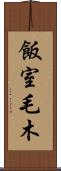 飯室毛木 Scroll