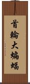 首輪大蝙蝠 Scroll