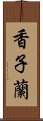 香子蘭 Scroll