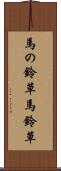 馬の鈴草 Scroll