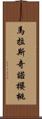 馬拉斯奇諾櫻桃 Scroll