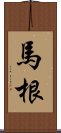 馬根 Scroll