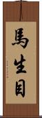 馬生目 Scroll
