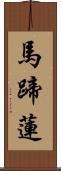 馬蹄蓮 Scroll