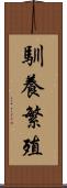 馴養繁殖 Scroll