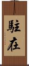 駐在 Scroll