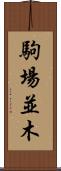 駒場並木 Scroll