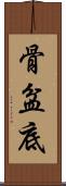 骨盆底 Scroll
