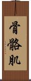 骨骼肌 Scroll