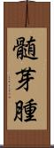 髄芽腫 Scroll