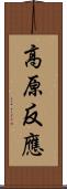 高原反應 Scroll