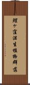 鯉ヶ窪湿生植物群落 Scroll