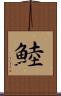 鯥 Scroll