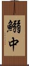 鰯中 Scroll